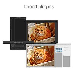 DgFlick Edit Xpress PRO Plus ( Fastest & Simplest Photo Correction)- With Dongle image 5