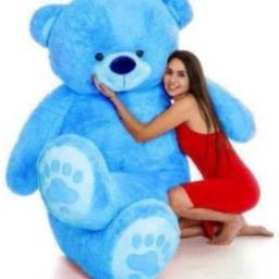 Blue shed 3 feet Tedst bear for valentine & Anniversary / birthday Very Cute Looking Soft Hugable American Style Teddy Bear Best For Gift- 90 cm-image-23
