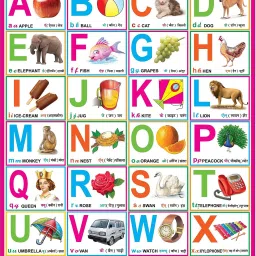 English Alphabet Chart For Kids Photographic Paper-image-6