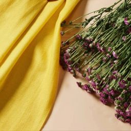 Dhariwal Wool Solid Women, Men Shawl-image-49