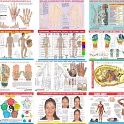 Acupressure + Other Therapy Chart Set Paper Print-image-30