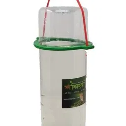Large Water Feeder for Birds Window Bird Feeder Bird Feeder-picture-18