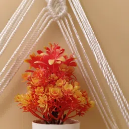 fashionhub Macrame Gullak Combo Wall Hanging Shelf Floating Handicraf image 2