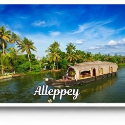 Alleppey Acrylic Fridge Magnet 3x2 Inches, 3mm Thick, Lovable Souvenir Fridge Magnet Pack of 1-image-11