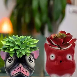 GARDEN DECO 2-Pcs Red & Black Printed Ceramic Bruno & Owl Planters-50