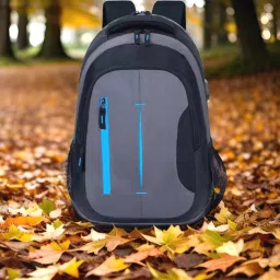 Medium 30 L Laptop Backpack backpack for men backpack bags bagpack-image-49
