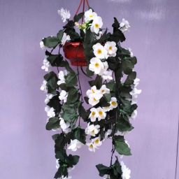 Artificial Wall Hanging White Orchids Flower Chain with Pot White Orchids Artificial Flower with Pot-image-13