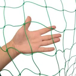 world net enterprise Plant Support Net and Gardening Netting Green Colour 6Feet x 3 Feet Hiking Net image 3