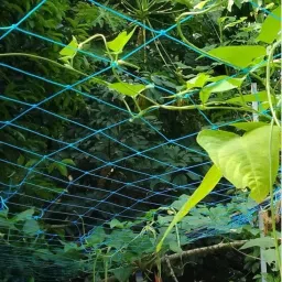 Plant Climbing Net- Creeper Plant Support / Gardening - 11 F x-16 F Garden Tool Kit-49