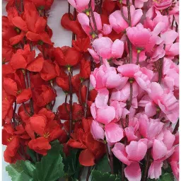 zoanto Multicolor Orchids Artificial Flower image 4