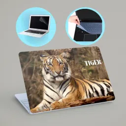 SDM 3in1 Combo 15.6 Inch 3m Laptop Skin, Screen Guard, Key Protector Combo073 Combo Set-image-17