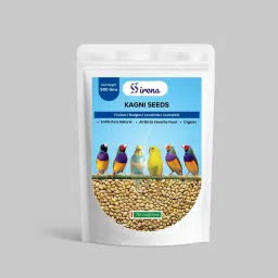 Foxtail Millet Kagni Seed Bird Food 500 gm Provide High Nutrition Daily Diet 0.5 kg Dry Young Bird Food-image-37