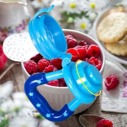 Fruit Feeder For Kids Feeder-12