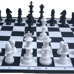 17'' x 17'' Tournament Chess Vinyl Foldable (With TWO EXTRA QUEENS) 3.5 cm Chess Board-0