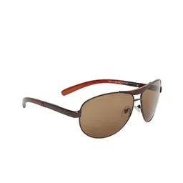 CRIBA Unisex Brown Lens & Brown Aviator Sunglasses with UV Protected Lens-8