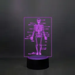 Skeleton of Human Body with Names 7 Color Changing Light Table Lamp-24