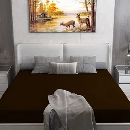 DREAM CARE Cotts Wonder Coffee Brown Waterproof Double Queen Mattress Protector-image-53