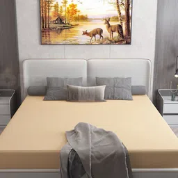 DREAM CARE Cotts Wonder Beige Waterproof Queen Mattress Protector-image-44