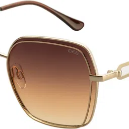 Gradient SpectacleSunglasses (58)-image-65