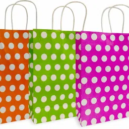 Printed Party Bag-6