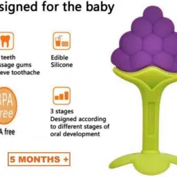bouncing bliss PURPLE GRAPES FRUIT SHAPE TEETHER Teether Teether image 4