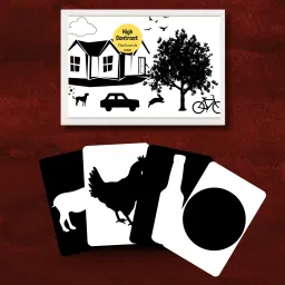 Newborn High Contrast Flashcards: Essential for Visual Stimulation-image-2
