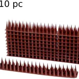 Bird Spike-3
