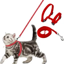 Cat Harness Full Body With Leash Set - For Walking | Escape Proof Cat Buckle Harness-picture-39