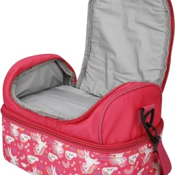 Multi Compartment Dual Slot Lunch Bag Double Insulated Tiffin Lunch Bag Waterproof Lunch Bag-picture-0