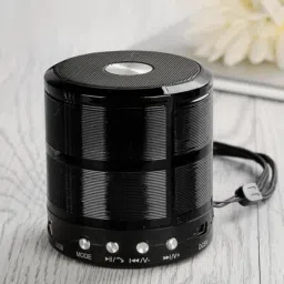 GUGGU 360_Mini Bluetooth Speaker WS 887 with FM Radio, USB Pen Drive Slot 48 W Bluetooth Party Speaker-27