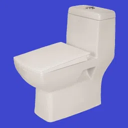 Floor Mounted One Piece EWC Toilet Water Closet S Trap Distance 225mm / 9 Inch Western Commode-picture-12