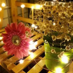 sinoman 10 Mtrs 100 Led Warm White Corded LED Electric String 100 LED Direct Plug WW String)-picture-49