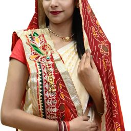 Poly Georgette Embroidered Multicolor Women Dupatta-image-4