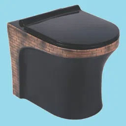 Floor Mounted Western Toilet European Water Closet Commode Designer EWC S Trap Western Commode-10