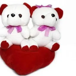 Very Stylish Plush and Adorable Soft Stuffed Couple On Heart For Kids, Gift-STY - 30 cm-image-37