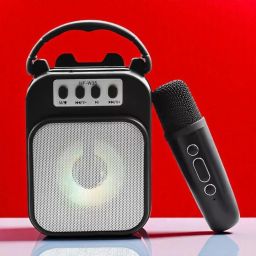 Nilesawar Microphone – Built-in Bluetooth Speaker, Portable Fun 5 W Bluetooth Speaker-image-94