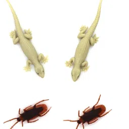 Silicone Lizard and Silicone Cockroach Realistic Cockroach and Lizard Prank Toy note Gag Toy-10