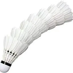 Badminton Shuttle with Excellent Flite for Beginner to Advance Level Feather Shuttle - White-image-55