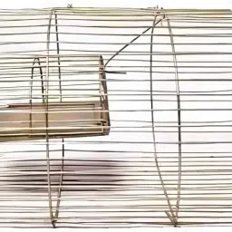 Iron Heavy Wire Rat Trap/Mouse Rat Catcher/Rat Cage/Chuha Pinjra/Mouse/Chipmunk Live Trap-26