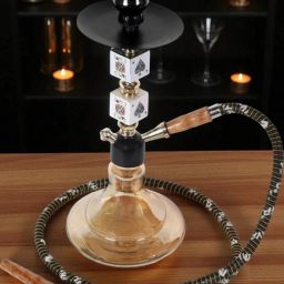 SmokeBliss Compact Hookah Set 16 inch Iron Hookah-image-59