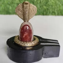 Original Narmada Shivling Narmadeshwar Shivling Shivalingam for Daily Home Pooja Decorative Showpiece - 4 cm-image-19
