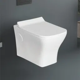 Platinum Ceramic wall Hung commode Western Toilet/Water Closet/Commode delfi Western Commode-19