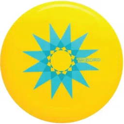 D90 Frisbee Yellow flying disc Plastic Sports Frisbee-image-39