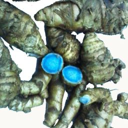Black Turmeric Original/Nalla pasupu/Kali Haldi/Karu Manjal (100 gram) Seed-image-84