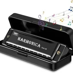 Harmonica Mouth Organ Musical Instrument-22