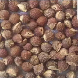 shudhveda Reetha Ritha Soapnut Soap Nut Acacia Concinna Sapindus Mukorossi Seed image 2