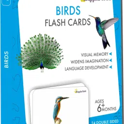 Early Learning - Birds Flash Cards-25