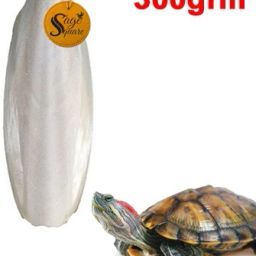 sage square Natural High Calcium Source Cuttlebone Fish for Turtle (300grm) Fish Turtle Chew image 2