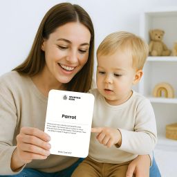 spartan kids Flash Cards (Mega Combo Pack) Early Learning Flash Cards For Kids (Set of 15) image 5