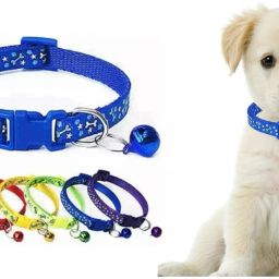 Dog Cat Collar Belt Printed Breed Dogs 2pcs | Bicycle Brake Disk-image-73